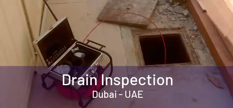 Drain Inspection  Dubai - UAE