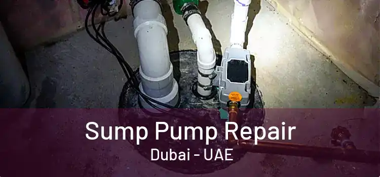 Sump Pump Repair  Dubai - UAE